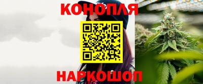 крисы Бузулук