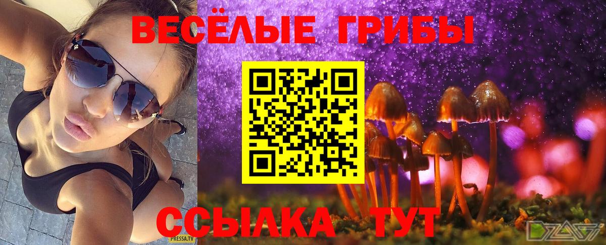 Галлюциногенные грибы ЛСД Саянск