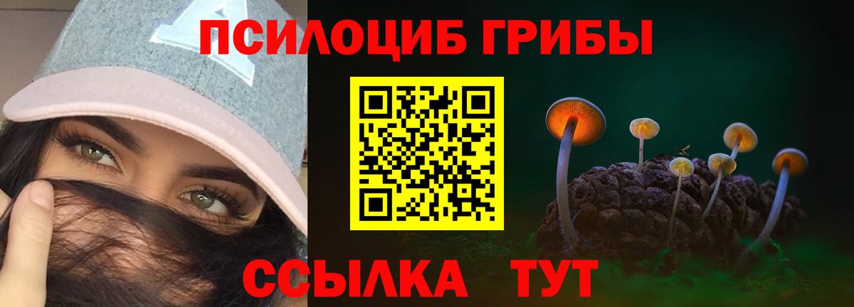 Галлюциногенные грибы Magic Shrooms  Вход с VPN  Галлюциногенные грибы GOLDEN TEACHER  Саянск 